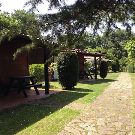 Camping Ecologic Lava Santa Pau Exterior foto
